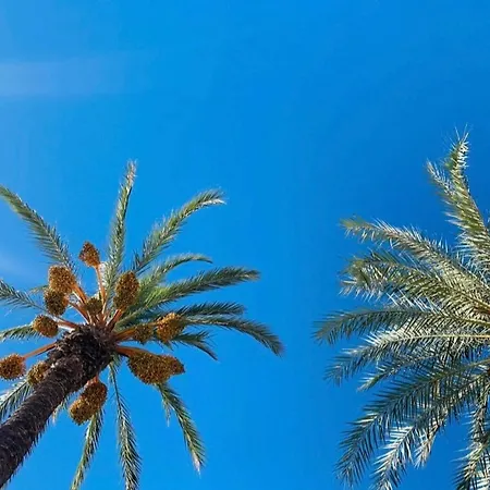 La Margarita Appartamento