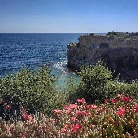 Appartamento La Margarita