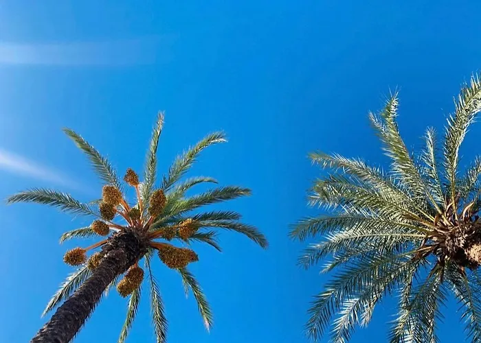 La Margarita Appartamento